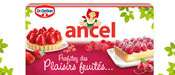 ANCELTARTESL